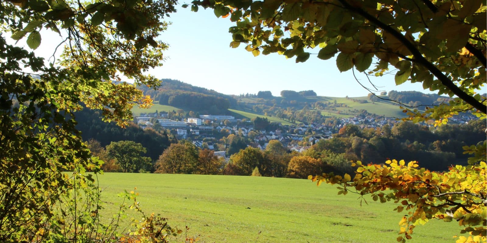 Regionalbahn und Straße durch die Odenwaldlandschaft