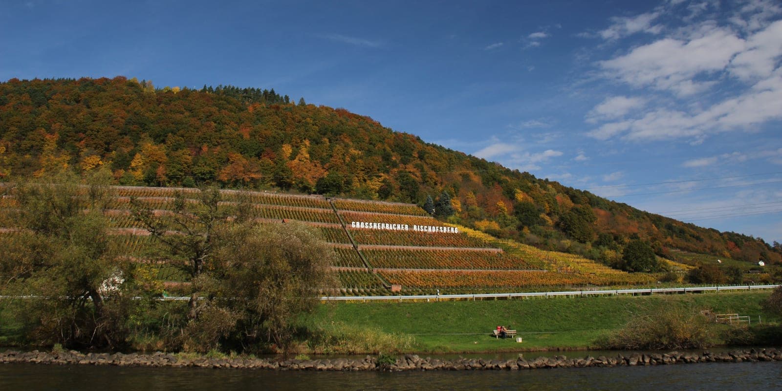 Herbstlich gefärbte Weinbergterrassen des Großheubacher Bischofsbergs am Main