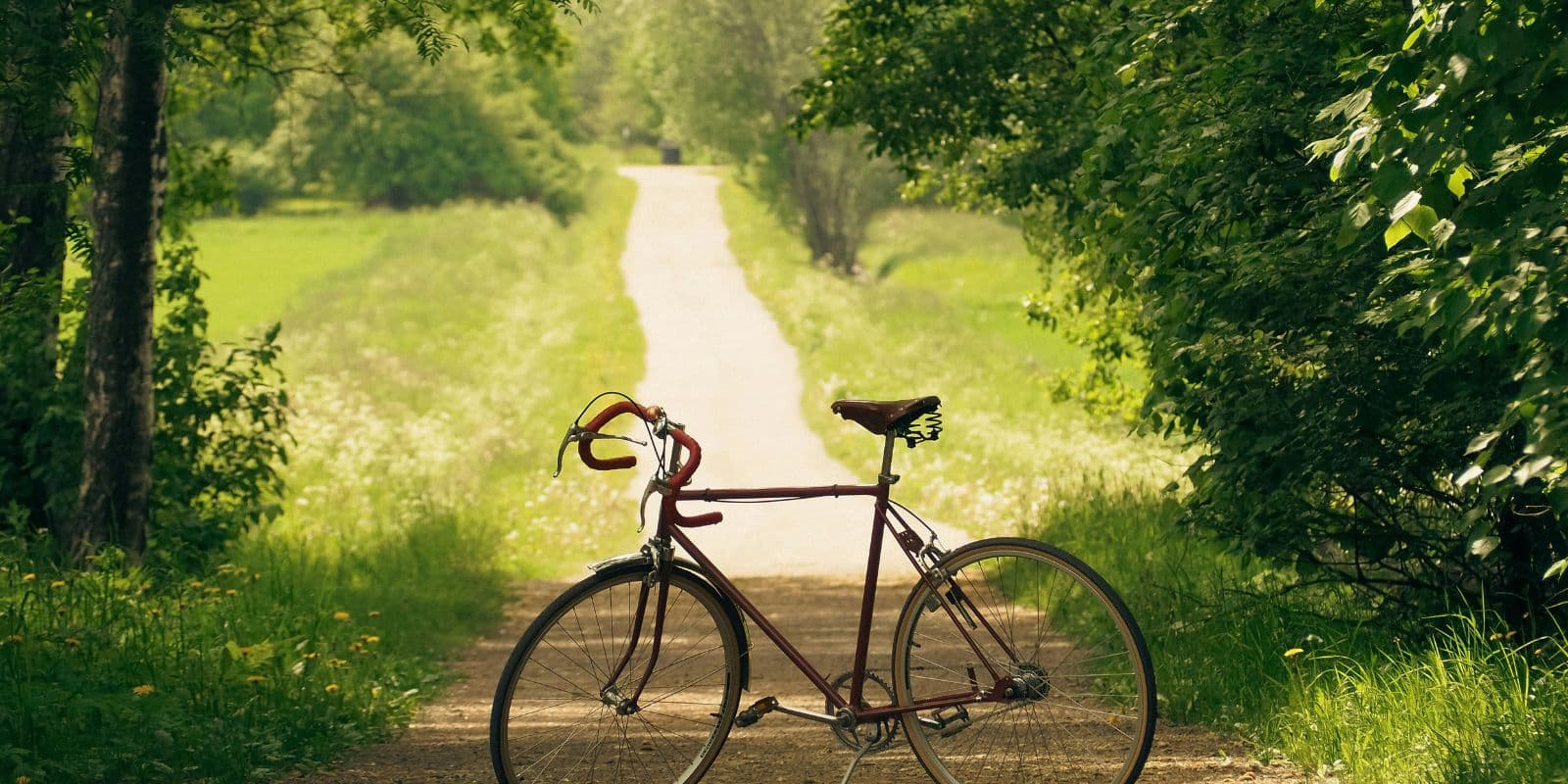 Radweg durch grüne Täler des Odenwalds
