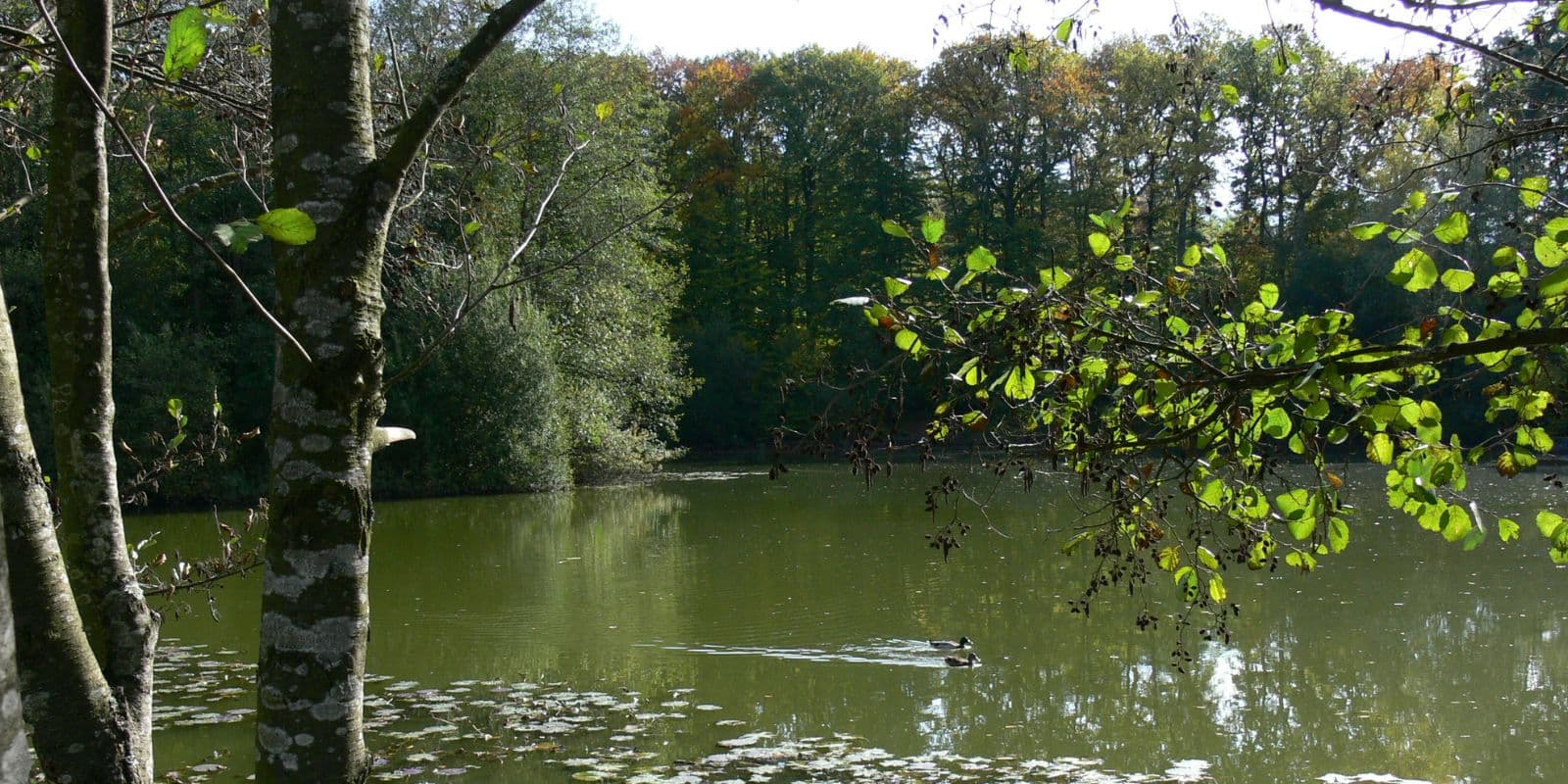 Freibad und Badesee im sommerlichen Odenwald