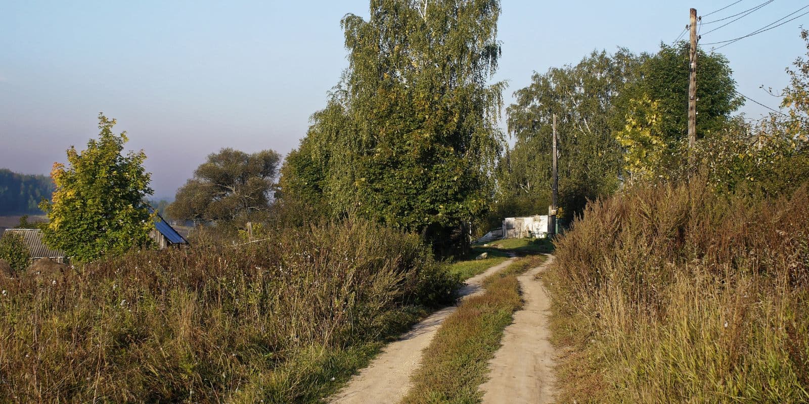 Wanderweg am Neckarsteig durch Wald und Neckartal